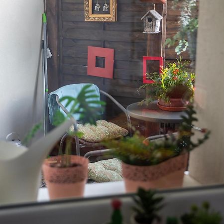 Apartament U Olechny 4 비드고슈치 외부 사진